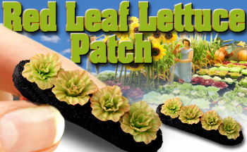 O-SCALE RED LEAF LETTUCE ROW